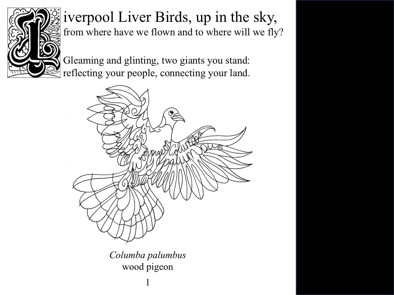 Liverpool Liver Birds: from where have we flown and to where will we fly?